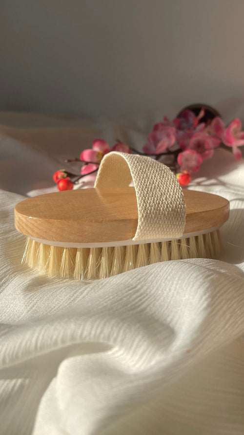Brosse corps à sec